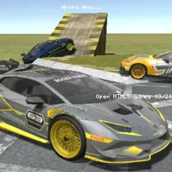 Wrong Way