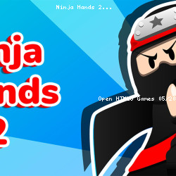 Ninja Hands 2