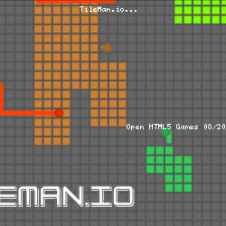 TileMan.io