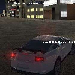 City Car Driving Simulator