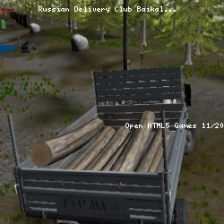 Russian Delivery Club Baikal