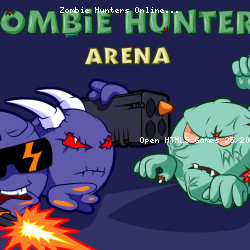 Zombie Hunters Online