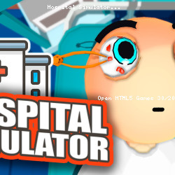 Hospital Simulator
