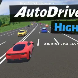 Auto Drive: Highway