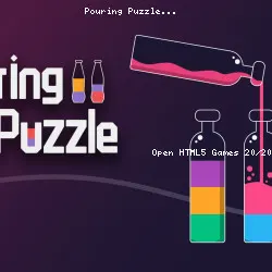 Pouring Puzzle