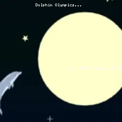Dolphin Olympics