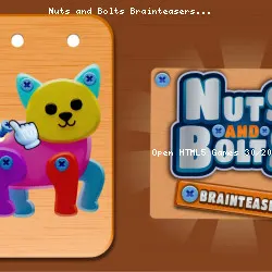 Nuts and Bolts Brainteasers