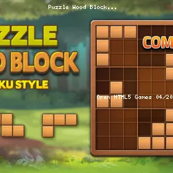 Puzzle Wood Block