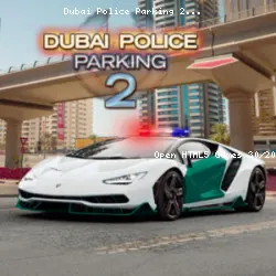 Dubai Police Parking 2